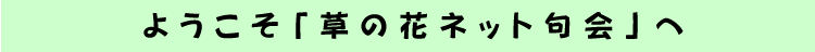 ようこそ「草の花ネット句会」へ